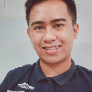 Paul Vincent E.
