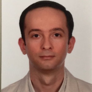 Mohammad E.