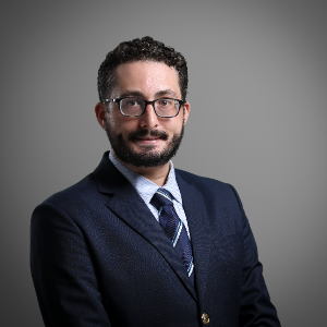 Alessandro L.