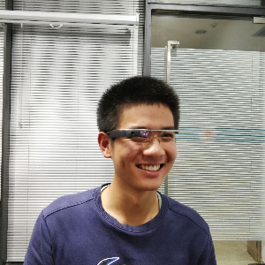 Feng L.