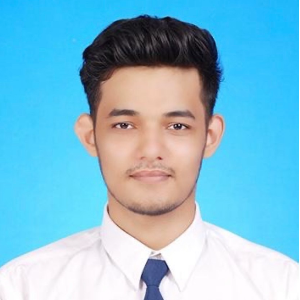 Dheeraj S.