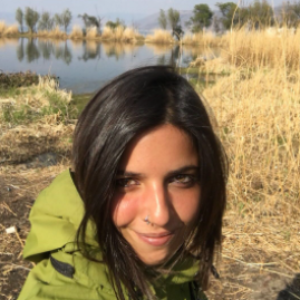 Rosaria P.